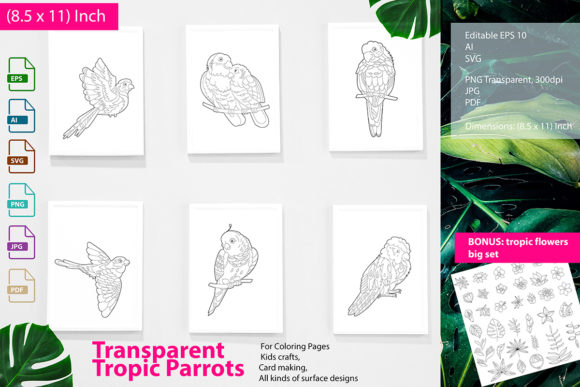 Parrots: A Designer’s Take on Line Art Embroidery