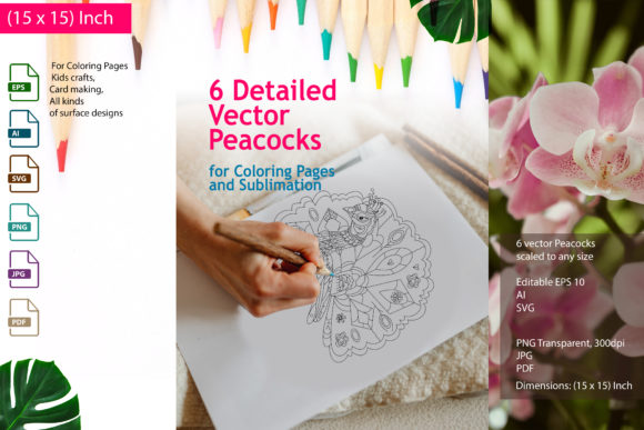 Peacocks: A Designer’s Take on Line Art for Stitching