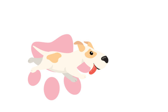 Reviewing the Funny Puppy Isolated Mammal Dog for Stitching